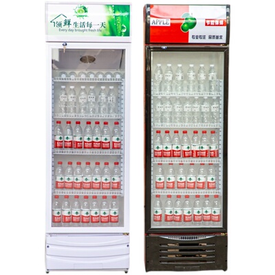 商用立式饮料展示柜冷藏保鲜柜大容量酒水柜单门节能铜管冰箱