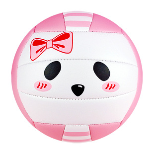 4号小学生专用训练考试软式硬排5号排球初中生中考专用五号硬排球