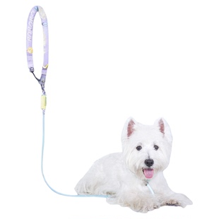 BORORO狗狗牵引绳P绳中小型犬专用遛狗狗链子防爆冲宠物用品