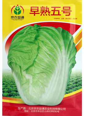 包邮早熟5号大白菜菜种种子高产