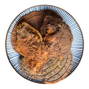 百草大叔 野生桑黄菌桑黄正品桑树桑黄 秦岭野生桑黄中药材新货