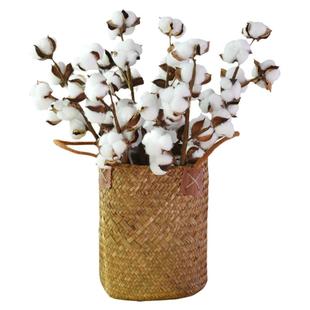 天然新疆棉花干花花篮花束木棉花假花永生花拍摄道具民宿客厅装饰