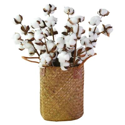 花篮棉花干花永生花客厅装饰摆件