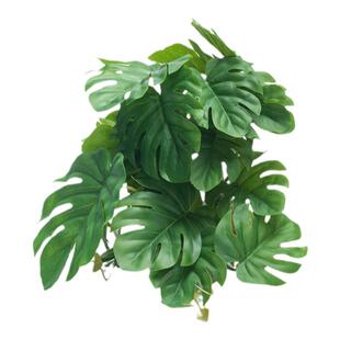 爬虫仿真造景植物雨林缸装饰蜥蜴变色龙饲养箱树蛙睫角守宫躲避