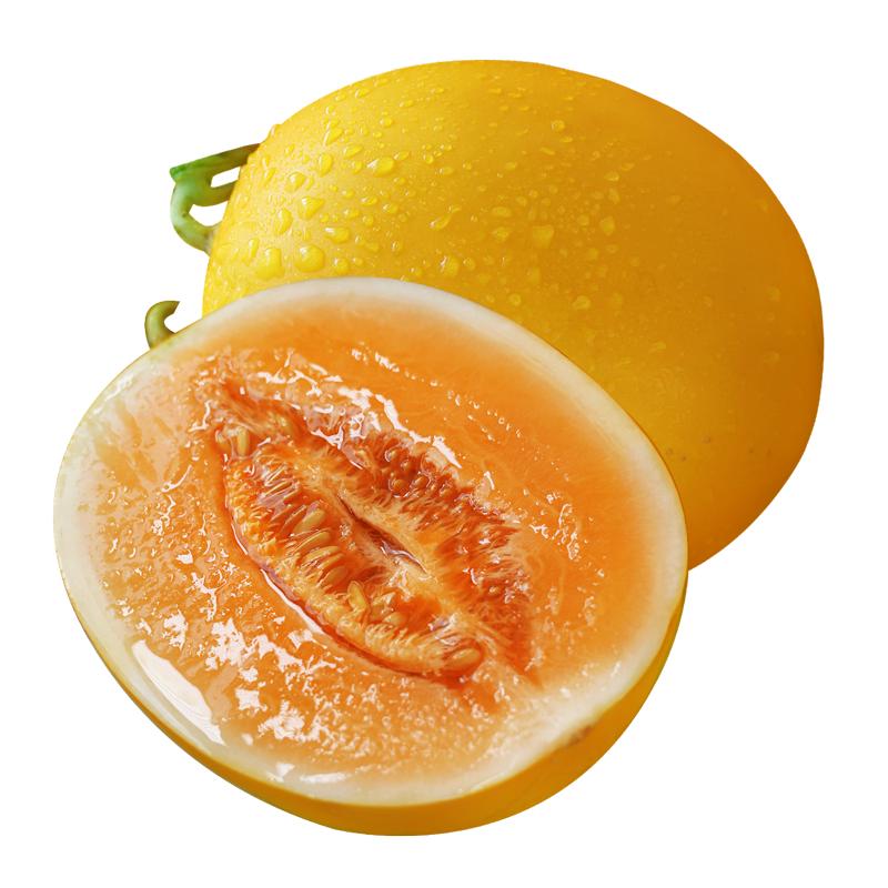 正宗黄河蜜瓜,是甜瓜也是哈密瓜