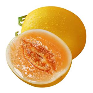 正宗黄河蜜瓜，是甜瓜也是哈密瓜