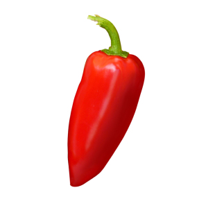 甜椒种子辣椒籽灯笼椒柿子椒彩椒苗阳台盆栽种植蔬菜种籽大全种孑