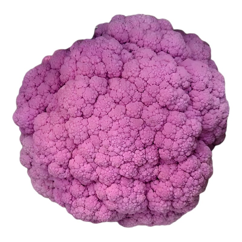 紫花菜幼苗紫晶花菜散花菜苗秧