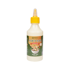 沙拉酱蔬菜水果沙拉专用酱料