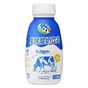新日期/李子园酸奶饮料发酵酸奶饮品果蔬早餐奶瓶装280ml批发特价