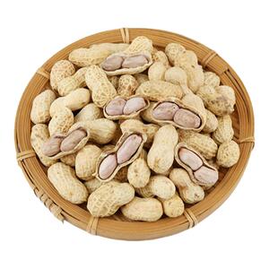 龙岩湿烤花生正宗天猫福建特产