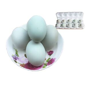 新鲜双黄鸭蛋农家散养大个头生鸭蛋草鸭蛋土鸭蛋麻鸭蛋青皮包邮