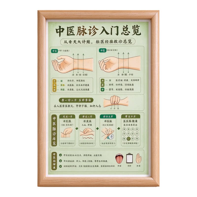 中医儿童科普五脏经络相框摆件