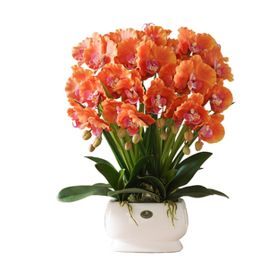 蝴蝶兰仿真花艺高端餐桌花摆花客厅摆设花装饰假花摆件盆栽电视柜