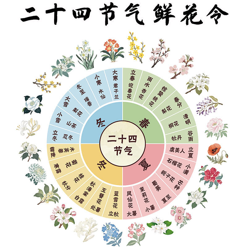 24二十四节气装饰鲜花令文化墙面贴环创幼儿园场景布置种植物角区