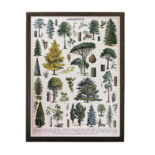 7055简约拼图框挂墙Cavallini美式复古植物园花卉1000片500片相框