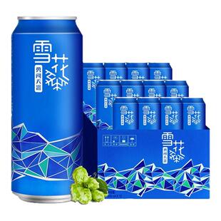 雪花啤酒9度勇闯天涯（概念系列）500ml*12听装1