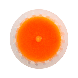 韩国BODYLUV花洒mini香氛过滤器除氯净水 二代维他花洒专用