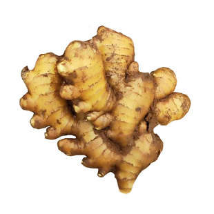 云南小黄姜种姜种带芽生姜老姜大姜种植苗大黄姜山东种子种籽秧苗