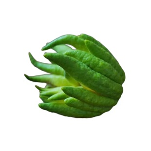 佛手柑鲜果水培植物闻香观赏桌面摆件金华天然新鲜葫芦办公室绿植