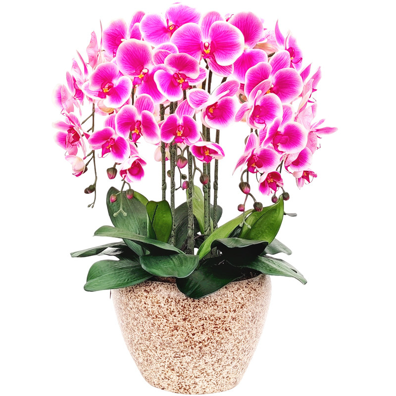 仿真花去甲醛蝴蝶兰假花