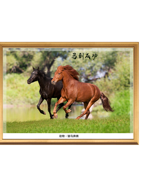 骏马奔腾图开业挂画客厅书房装饰画壁画墙画墙贴自粘床头简约挂画