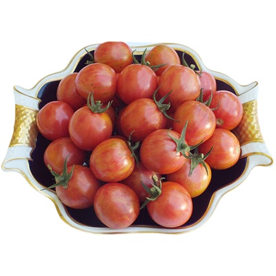 闪亮XSL樱桃番茄种子F1超甜高产