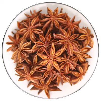 广西大红八角大料大茴香桂皮香叶调料香料家用批发厨房无硫优质