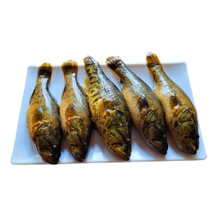 黑龙江土特产东北鲜活老头鱼新鲜速冻山胖头大头鱼食用淡水小杂鱼