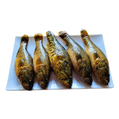 黑龙江土特产东北鲜活老头鱼新鲜速冻山胖头大头鱼食用淡水小杂鱼