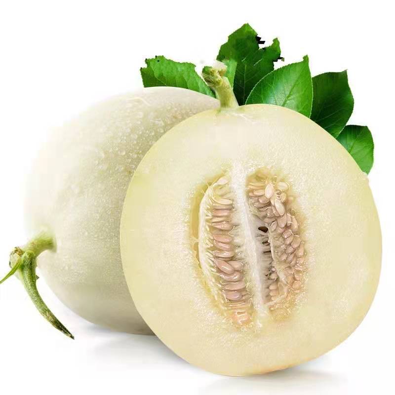洛椒77号黄皮羊角辣椒种大果高产
