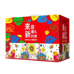 新疆特产干果礼盒年货零食营养坚果大礼包送礼礼物来自新疆的礼物