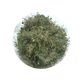 四川小叶金钱草野生500g中药材马蹄金泡茶小过路黄干净新鲜包邮