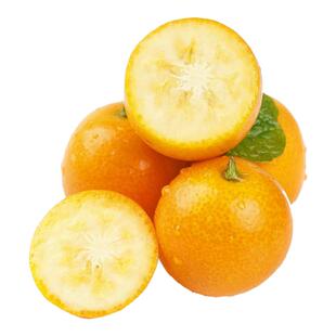 广西融安脆皮金桔鲜果多汁脆甜当季水果孕妇冰糖小金橘10现摘蜜