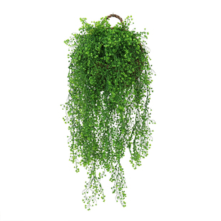 金钟柳壁挂仿真绿植藤条塑料假花藤蔓室内外客厅墙面吊篮装饰花艺