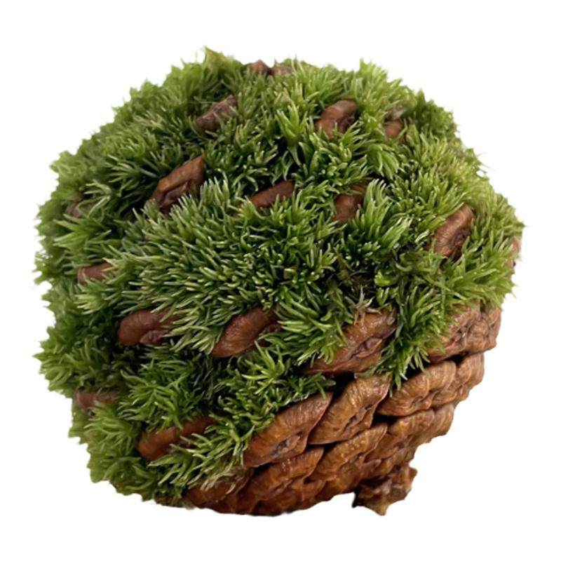 放轻松松果苔藓桌面绿植