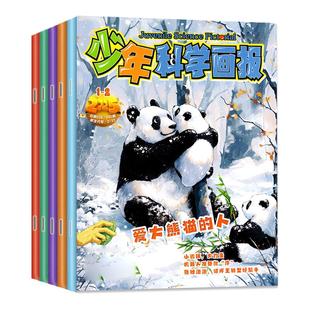 【2026年1-2月】少年科学画报杂志2025年1-12月【含全年/半年订阅可选】中小学生儿童科普百科合刊绘本意林科学非2024过刊
