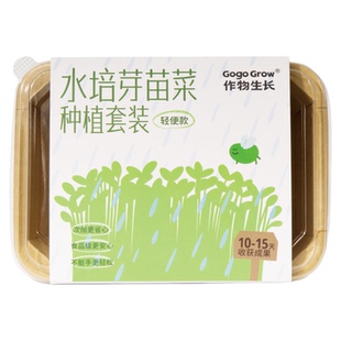 作物生长水培芽苗菜豌豆苗种子