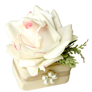 结婚对戒盒婚礼现场求婚仪式交换戒指盒创意森系首饰收纳白色盒子