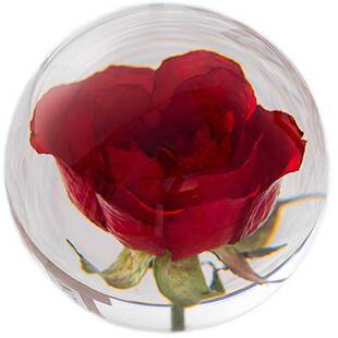 蒲公英水晶球镇纸摆件生日七夕礼物女生高级感圣诞节礼物2026新款