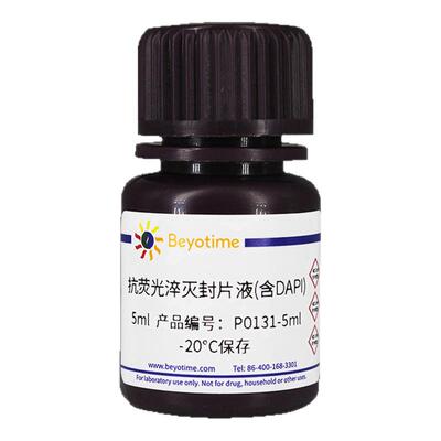 碧云天Beyotime P0131-5ml P0131-25ml 抗荧光淬灭封片液(含DAPI)