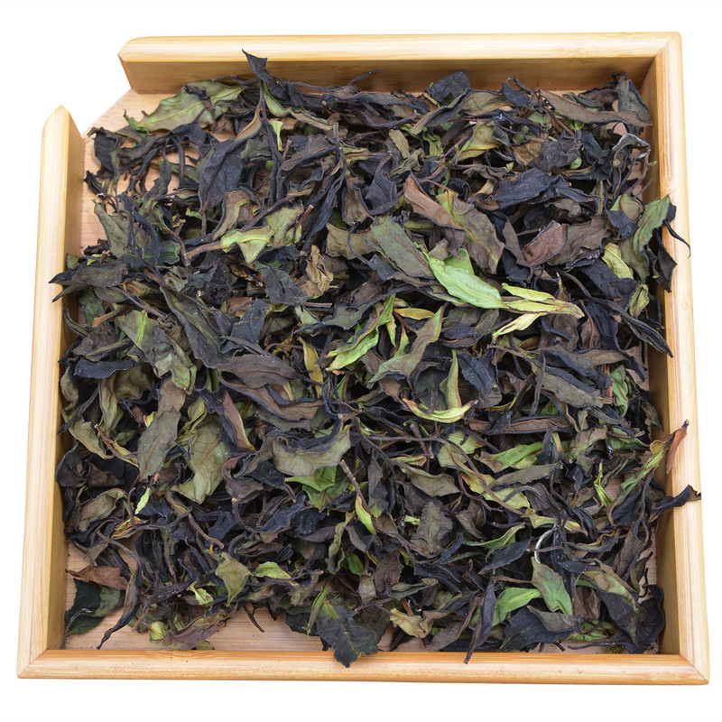 野生古树白茶云南大理种茶