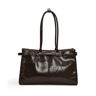 高级质感大容量包包女2025新款秋冬通勤百搭单肩包时尚手提托特包