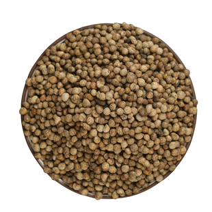 三色紫苏种子紫苏子食用苏子叶籽油四季盆栽蔬菜绿苏种孑阳台种植