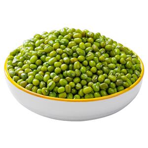 滇七娃新鲜绿豆新货包邮