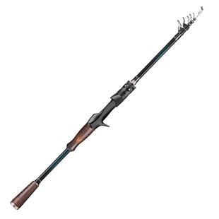 劲战鲤伸缩路亚竿便携式超轻M调振出式路亚竿套装矶竿海竿路滑杆