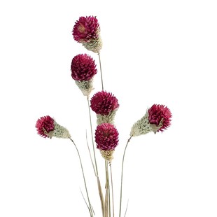 满天星干花花瓶摆件欧式家居装饰客厅陶瓷插花花器小清新简约现代