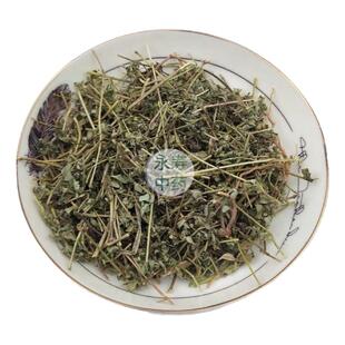 新鲜地锦草血见愁奶汁草红莲草铁线小红筋草奶浆草小飞杨草包邮