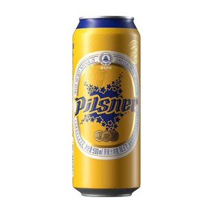 青岛啤酒皮尔森精酿啤酒10.5度500ml*12罐装高端拉格整箱包邮