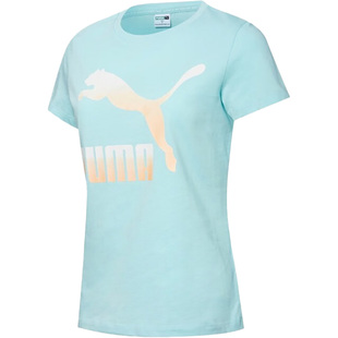 Puma/彪马官方正品夏季新款休闲宽松女子运动短袖T恤532282-76